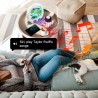 Humidificateur d'intérieur avec fonction eau Humidificateurs de chambre à coucher Humidificateur d'air multifonctionnel